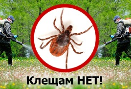 ОБРАБОТКА!