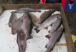 СЕЗОН ОТКРЫТ!