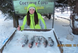 С НОВЫМ ГОДОМ! 